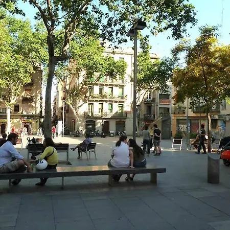 Sunny Gracia - Joanic Renovated