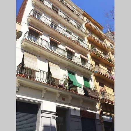 Sunny Gracia - Joanic Renovated *