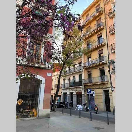 Sunny Gracia - Joanic Renovated Barcelona