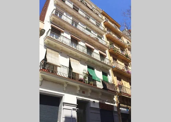 Sunny Gracia - Joanic Renovated *